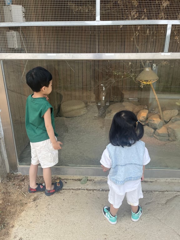 가평 양떼목장 울타리 너머 동물을 구경하는 두 아이