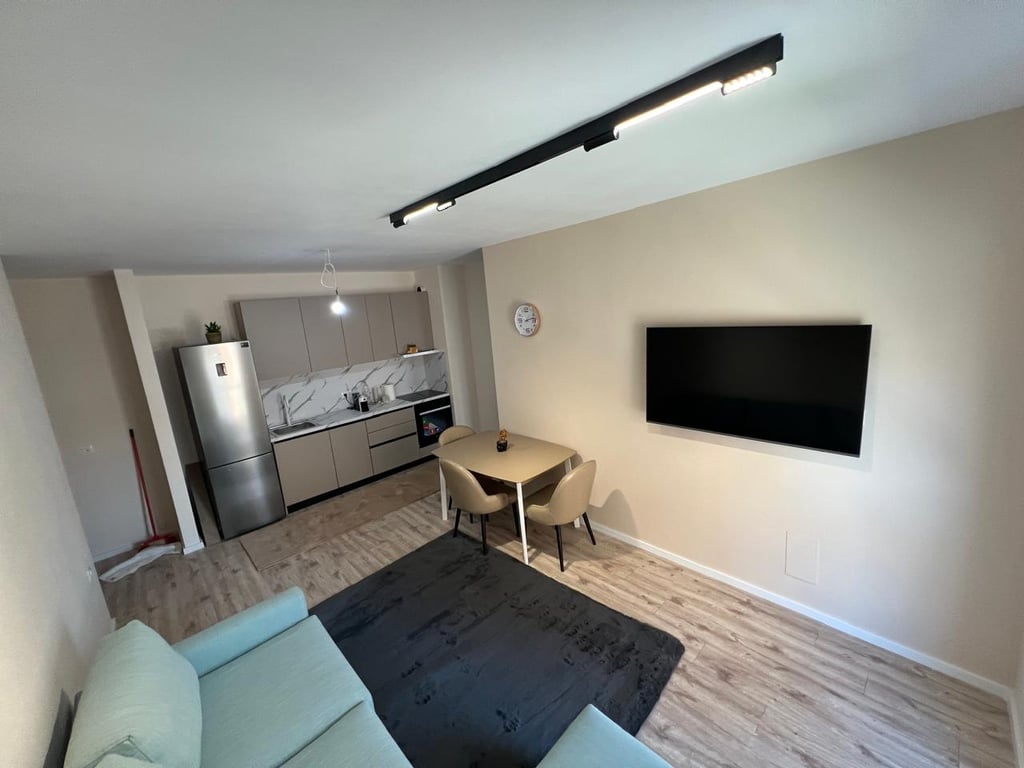 Apartament me qera 1+1 Tek Ali Demi (ID B2101087) Tirane.