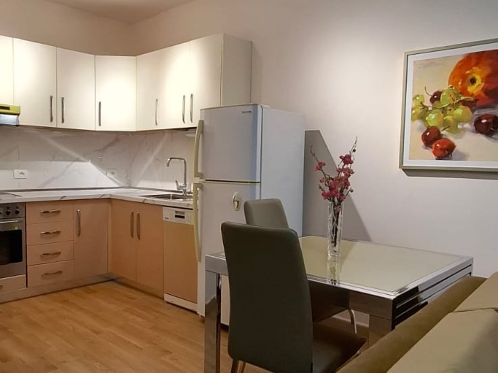 1+1, furnished, botanical garden, 600 euros