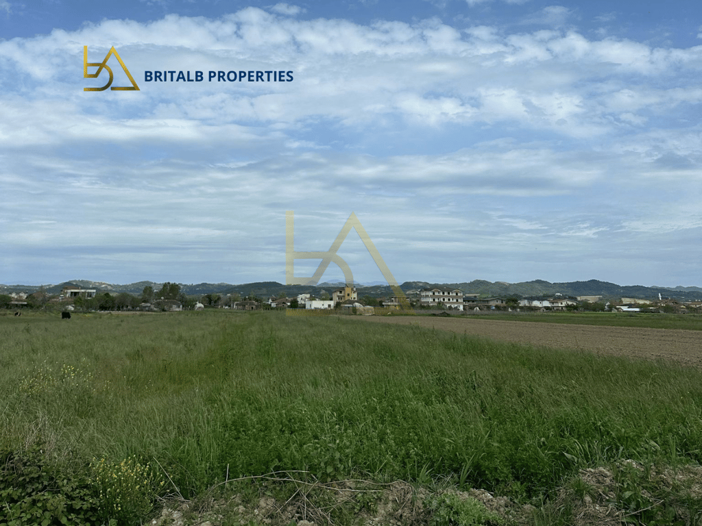 Shitet Tokë në Kavajë