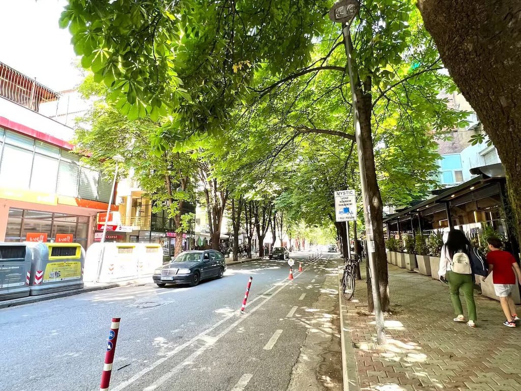 APARTMENT FOR RENT 1 +1 BLOCK LSI