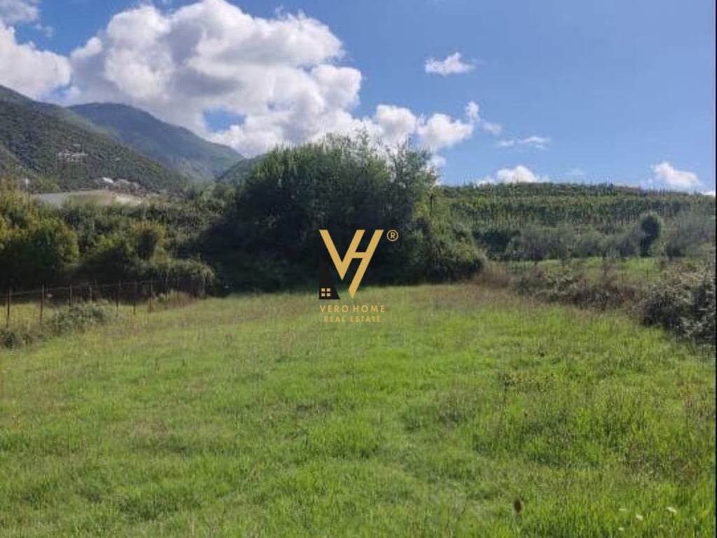 SHITET TOKE ARE 19.600 M2 NE VORE 196.000 EURO