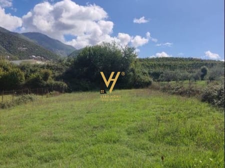 SHITET TOKE ARE 19.600 M2 NE VORE 196.000 EURO