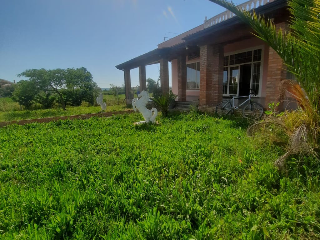 🔥Super property for sale, opportunity for agritourism🔥 Restaurant + 3500 m² of land for sale in Blerimaj, 2km from the Kavaje-Rrogozhine highway.