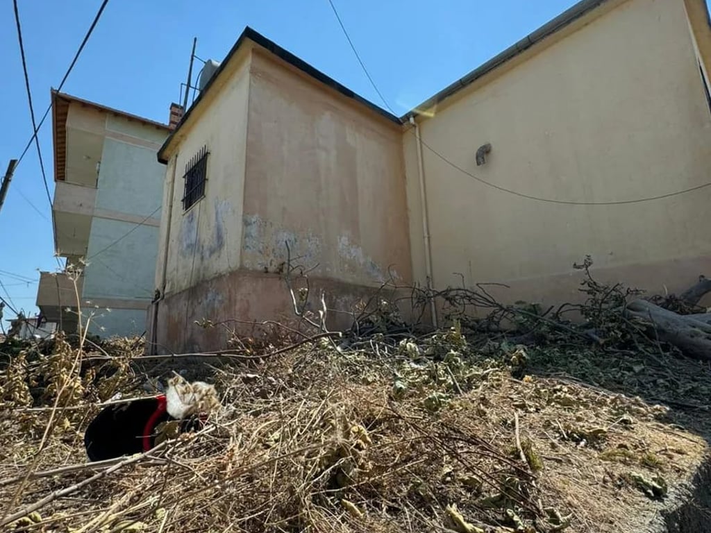 🔥Okazion🔥 ‼️Mundesi jetese ne nje zone shume te mire ‼️  🔥Shitet truall +plus shtepi te vjeter shume afer shkolles "Rilindja",Kavaje🔥