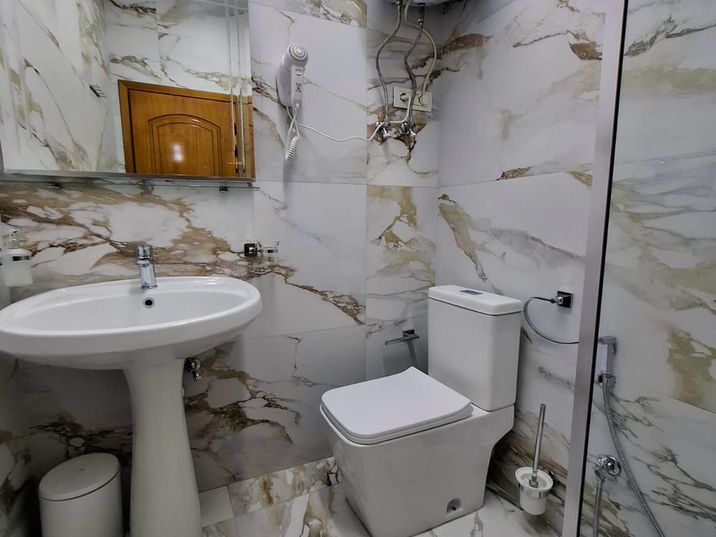 Apartment for rent 1 +1 Paris Commune