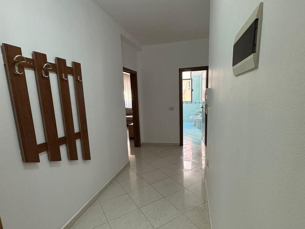 Apartament me qera 1+1 Tek Rruga e Elbasanit (ID B210818) Tirane