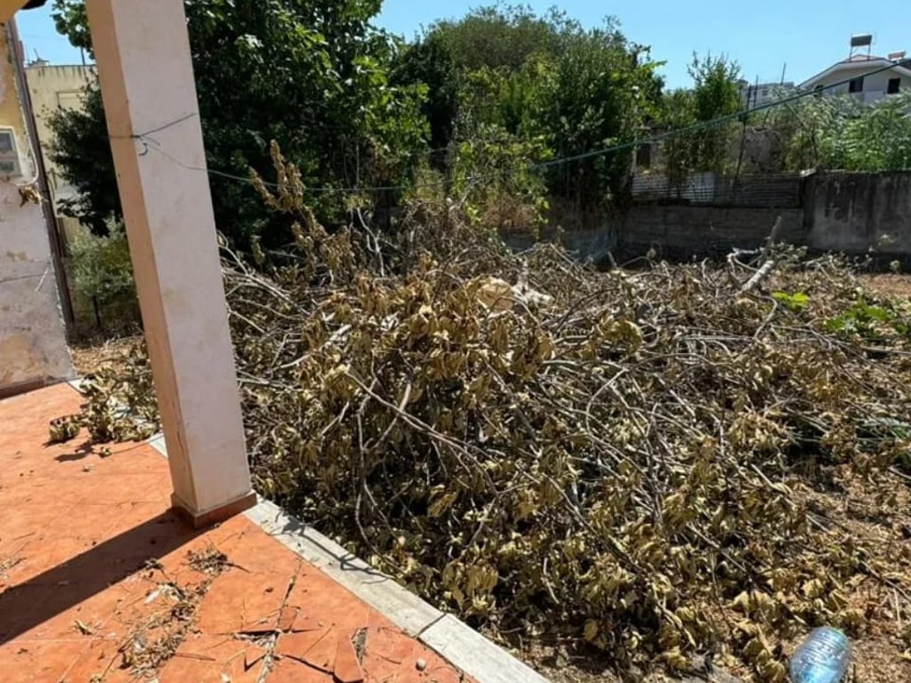 🔥Okazion🔥 ‼️Mundesi jetese ne nje zone shume te mire ‼️  🔥Shitet truall +plus shtepi te vjeter shume afer shkolles "Rilindja",Kavaje🔥