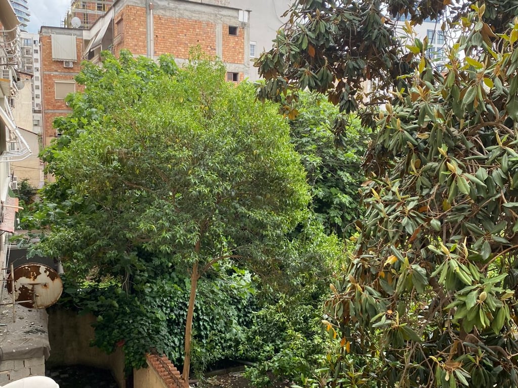 📢 Apartment 2+1 for rent in the Center