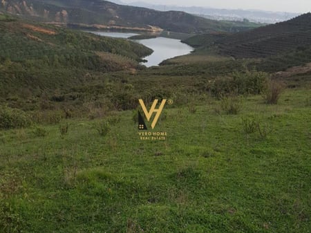 SHITET TOKE 22.200 M2 NE ÇERKEZ 555.000 EURO