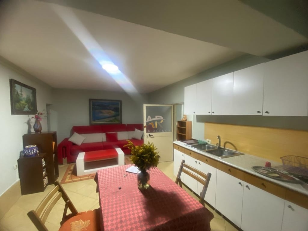 1+1 apartment for rent in Myslym Shyr.