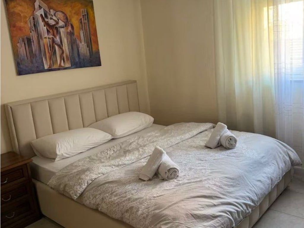 Appartamento 1+1 in affitto a Pazari i Ri