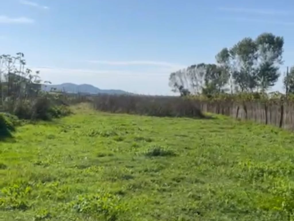 Shitet Toke 1050m/2 Qerret Ose ndrrohet me toke Tr