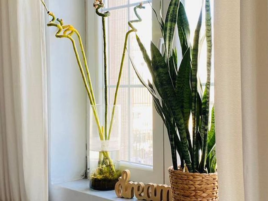 ‼️2+1 Apartment for Rent at 21 December‼️