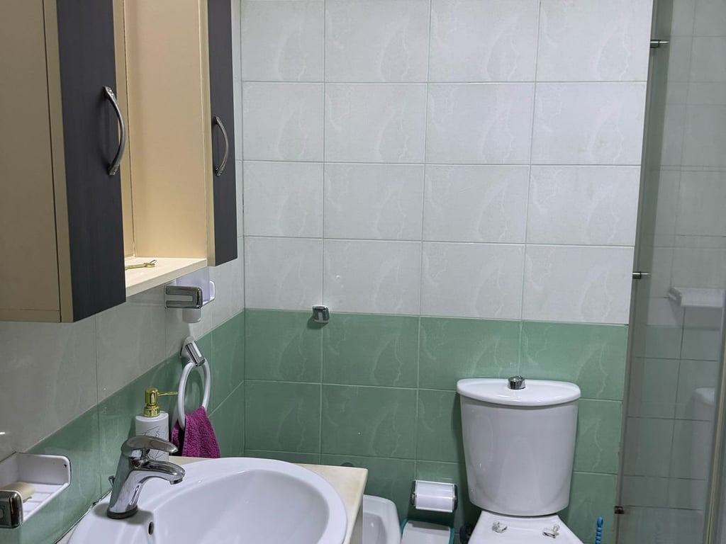 Affittasi appartamento 1+1, Jordani Misja (Complesso Gener 2) 450 mila lekë.