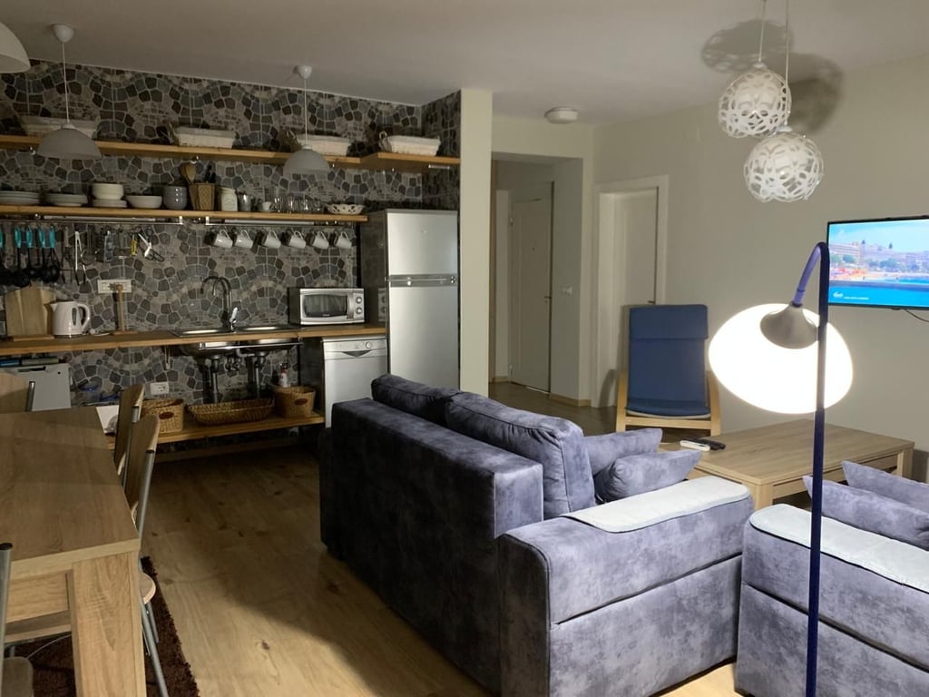 Affittasi appartamento 1+1 in Centro.