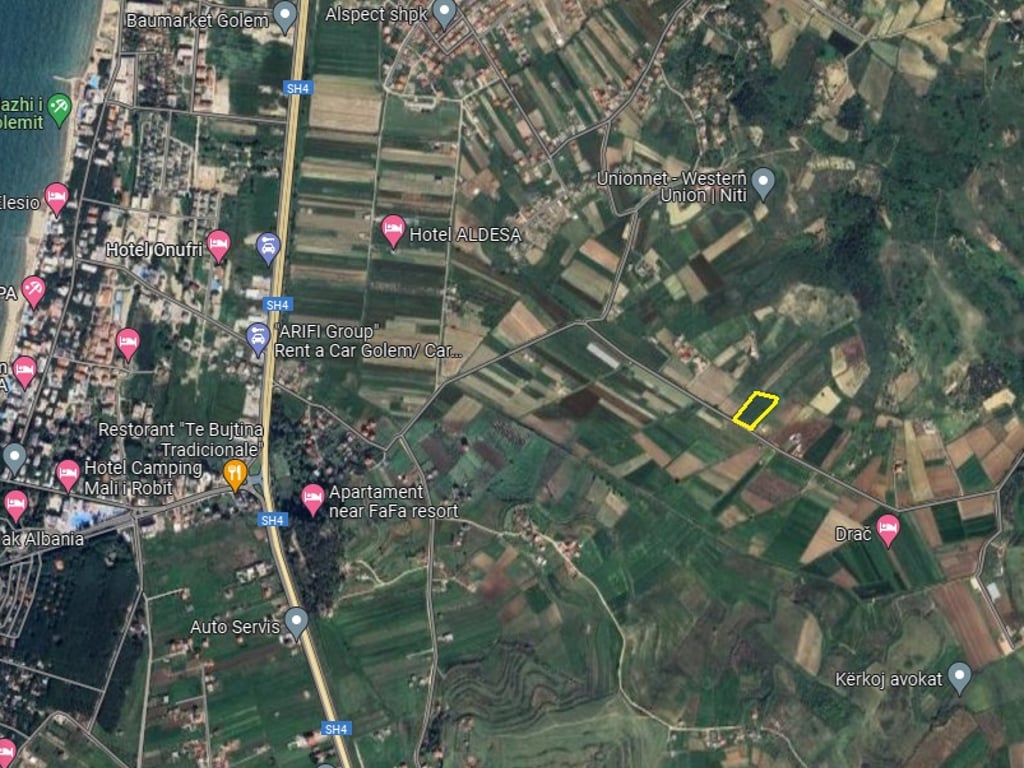 ‼️SHITET‼️🍐Toke e mbjelle me dardhe,Golem,Kavaje