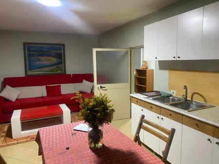 1+1 apartment for rent in Myslym Shyr.