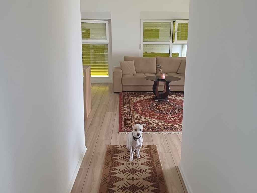 Jepet me qera Apartamenti 2+1 , Ali demi (kompleksi Mangalem ) Cmimi: 450 mije leke