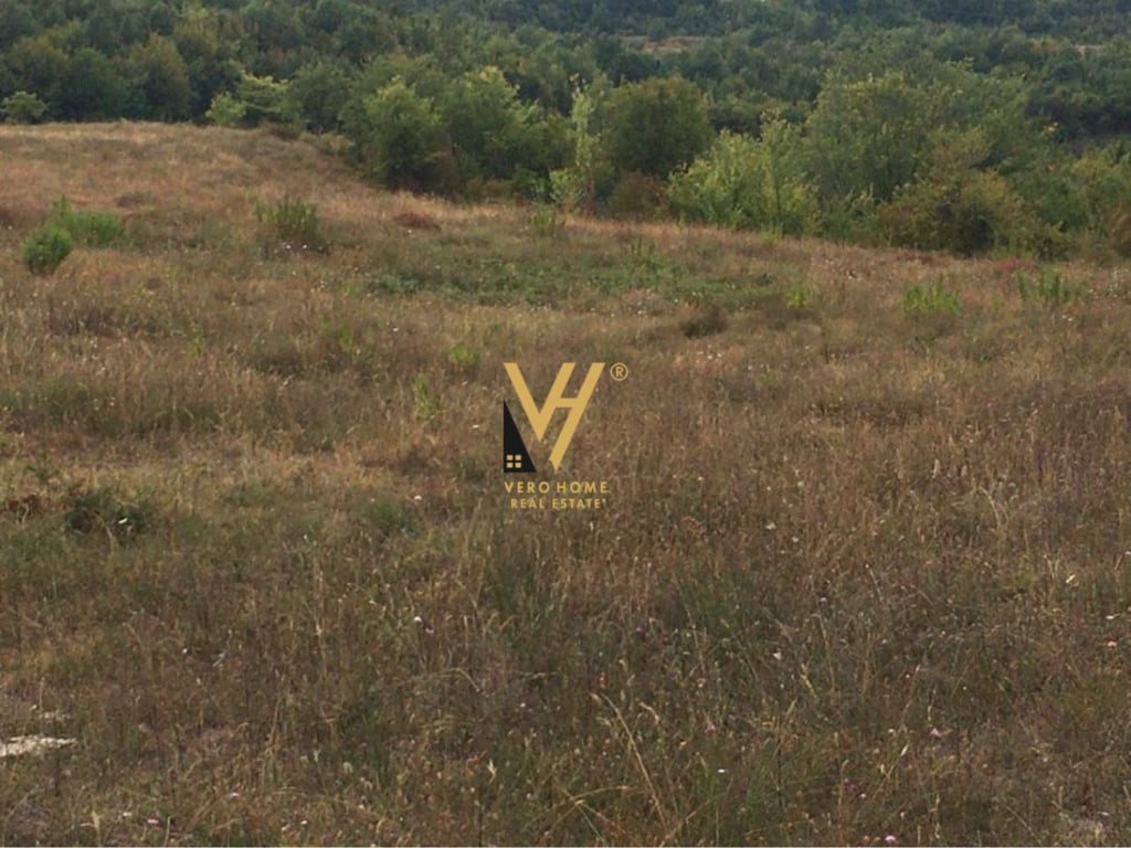 SHITET TOKE 5.500 M2 NE GURE E VOGEL,PRANE EQUOS RESORT 275.000 EURO