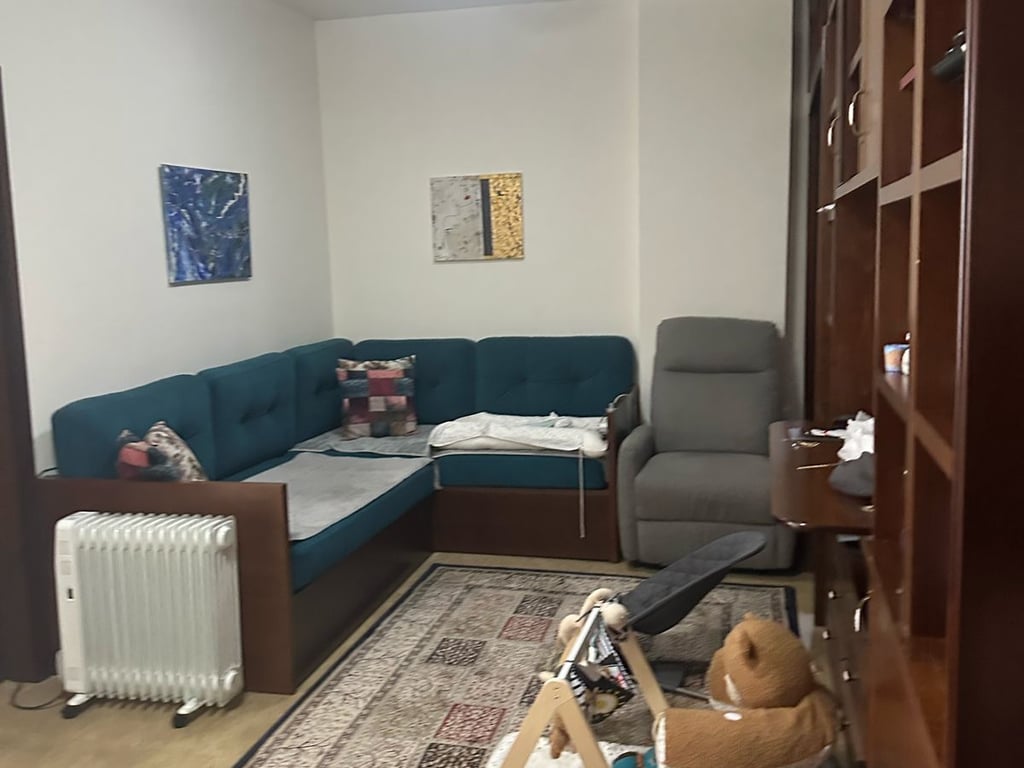 1+1, furnished, opposite Delijorgji, price 450 euros.