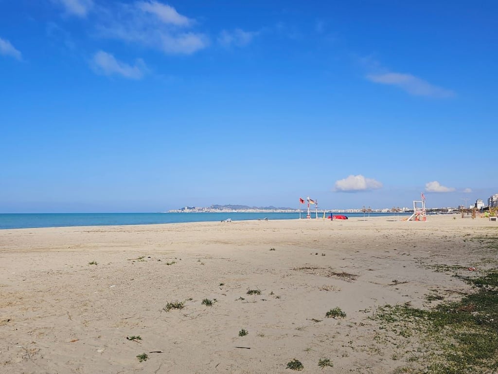 SHITET AMBJENT BIZNESI , BUZE SHETITORES SHKEMBI KAVAJES 