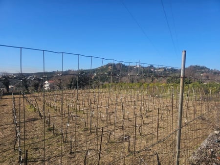 VENDITA DI TERRENO A LANABREGAS, DAJT!