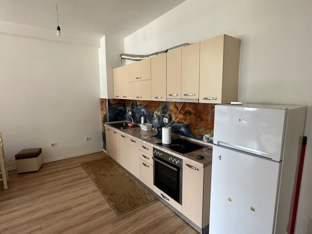 APPARTAMENTO IN AFFITTO 1+1