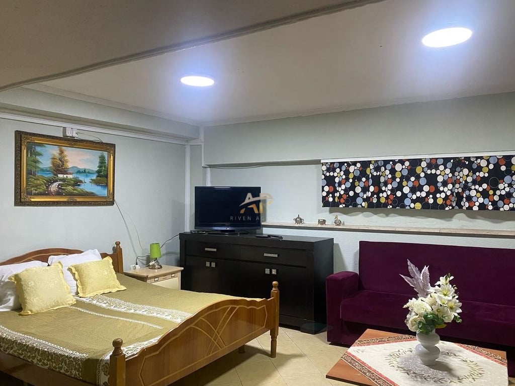 1+1 apartment for rent in Myslym Shyr.