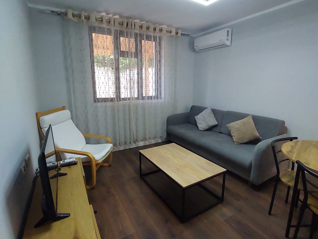 Apartment 1+1 for rent in Myslym Shyri!