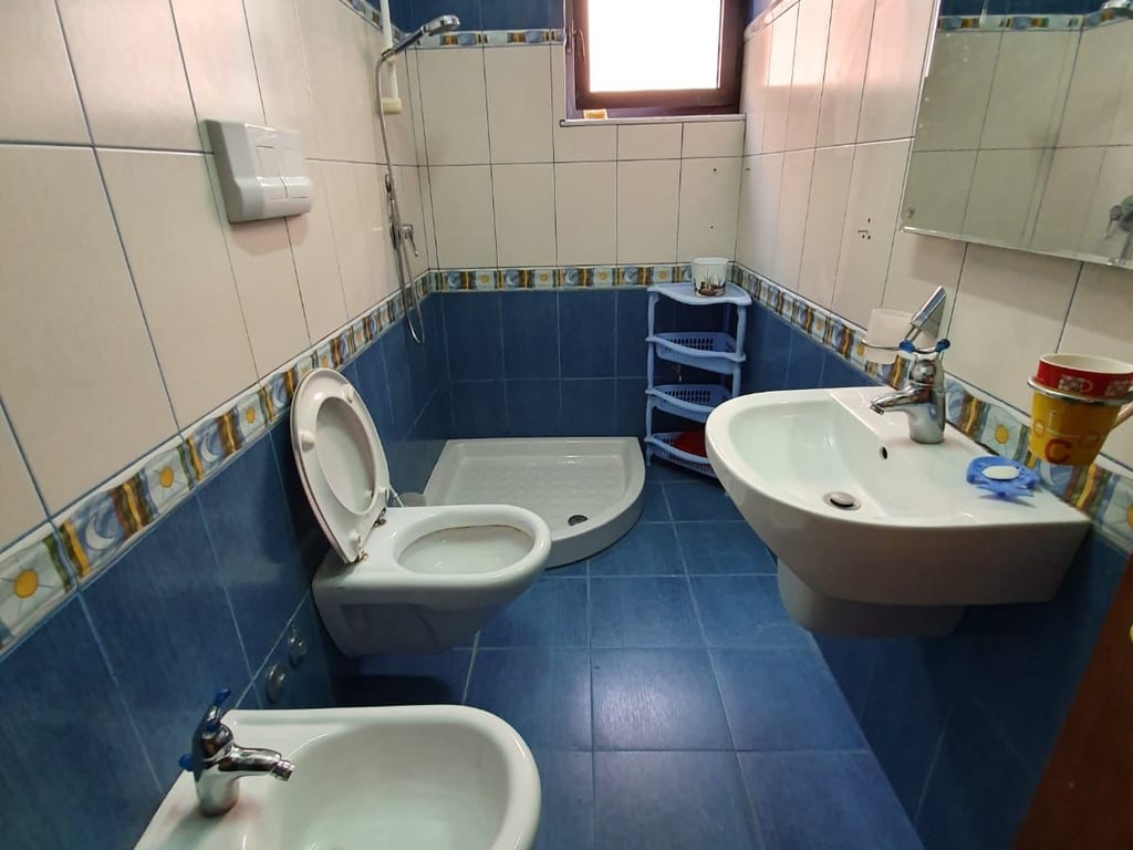 A 1+1 apartment is available for rent in Myslym Shyr.