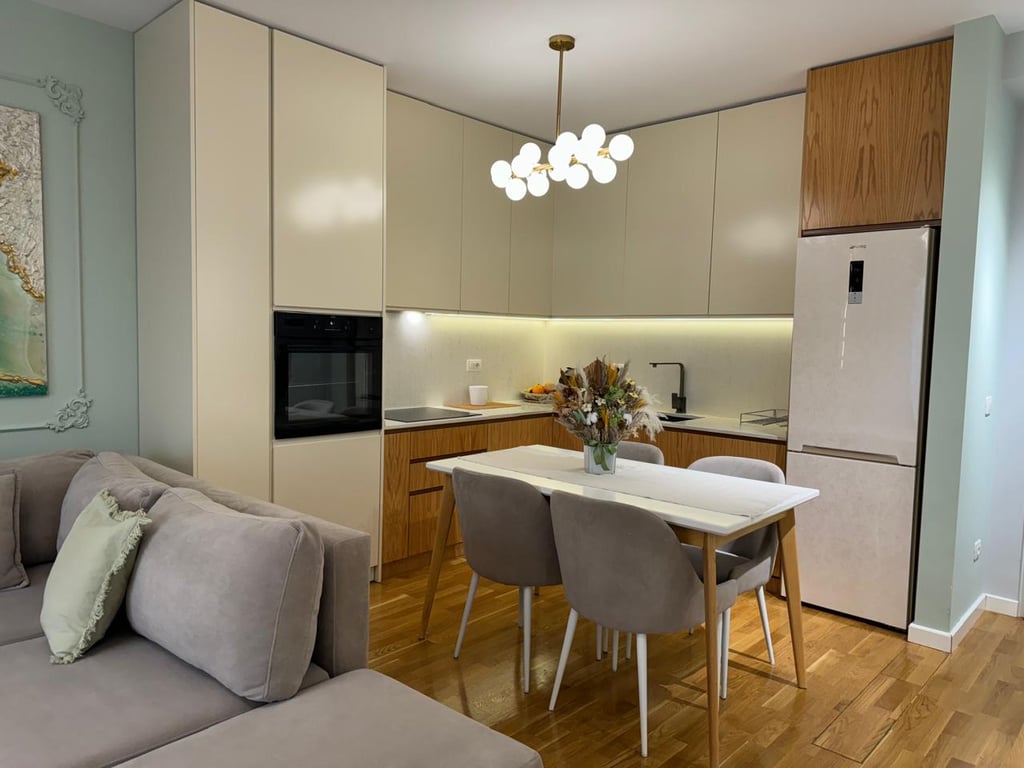 Super 1+1+P apartment for rent on Barrikadave Street.