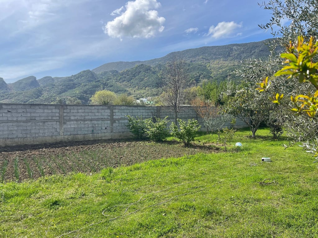 Vende in vendita a Bërzhitë vicino al "PalmaNova" Resort.