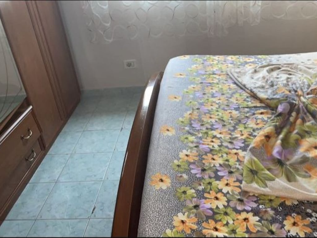 Apartment 1+1 for rent near the old park.