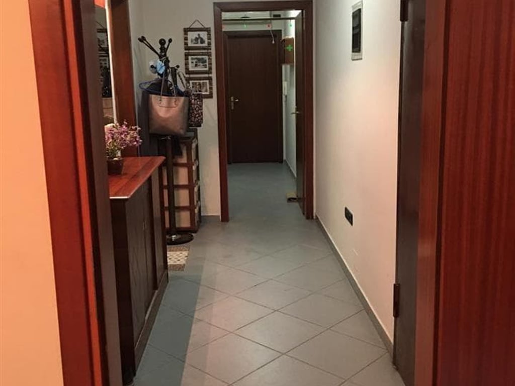 Appartamento in Affitto 1+1 a Mine Peza (ID B2101036) Tirana