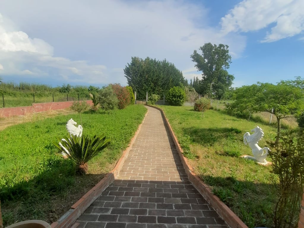 🔥Super property for sale, opportunity for agritourism🔥 Restaurant + 3500 m² of land for sale in Blerimaj, 2km from the Kavaje-Rrogozhine highway.