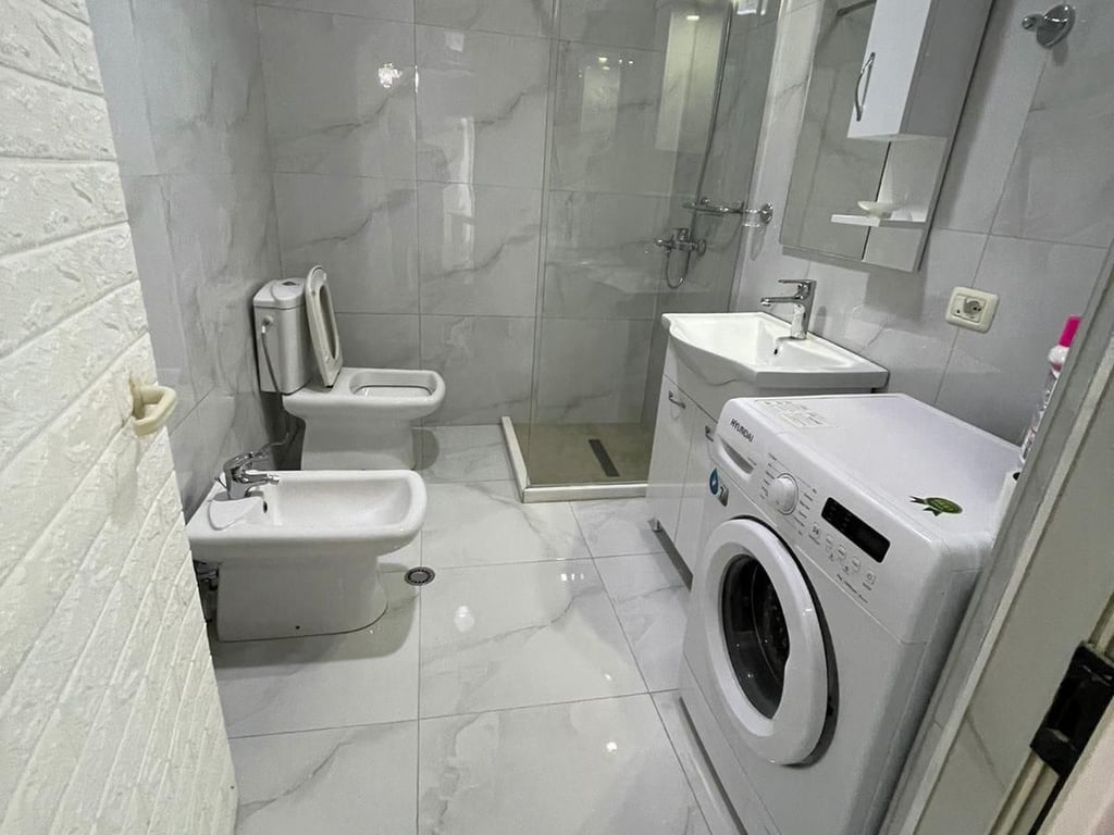Appartamento in Affitto 1+1 presso il Lago Asciutto (ID B2101064) Tirana.