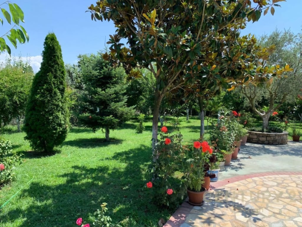 AGRITOURISM FOR SALE - NEAR RINAS