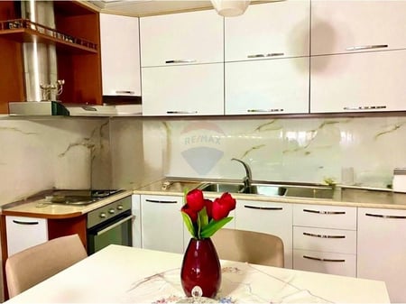 APARTAMENT 2+1+2 ME QIRA NE KINOSTUDIO