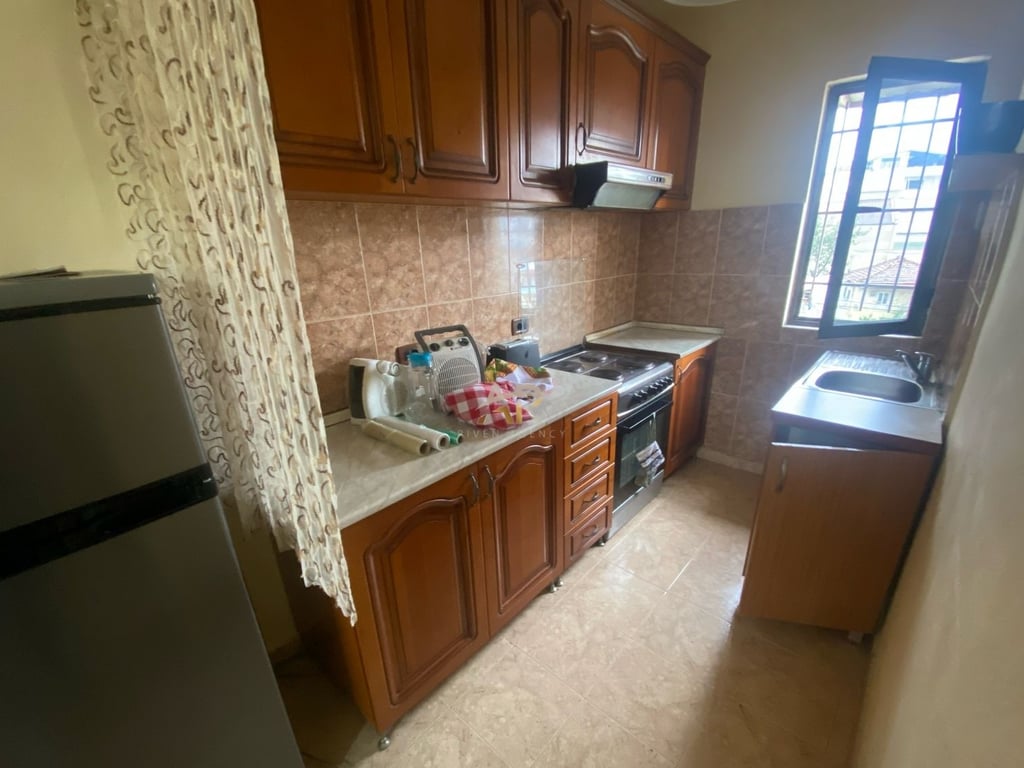 A 1+1 apartment is available for rent at Tregu Elektrik.