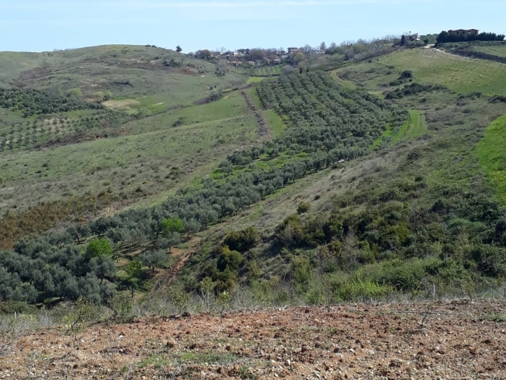 ⚡️Mundesi per agroturizem⚡️ Shitet pemetari  me kultura te ndryshme ,ne zone 7 km nga deti  Spillese,me pamje nga deti