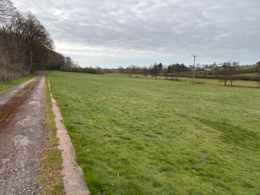 Shitet Toke Are Ne Petrele (ID BT76) Tirane​