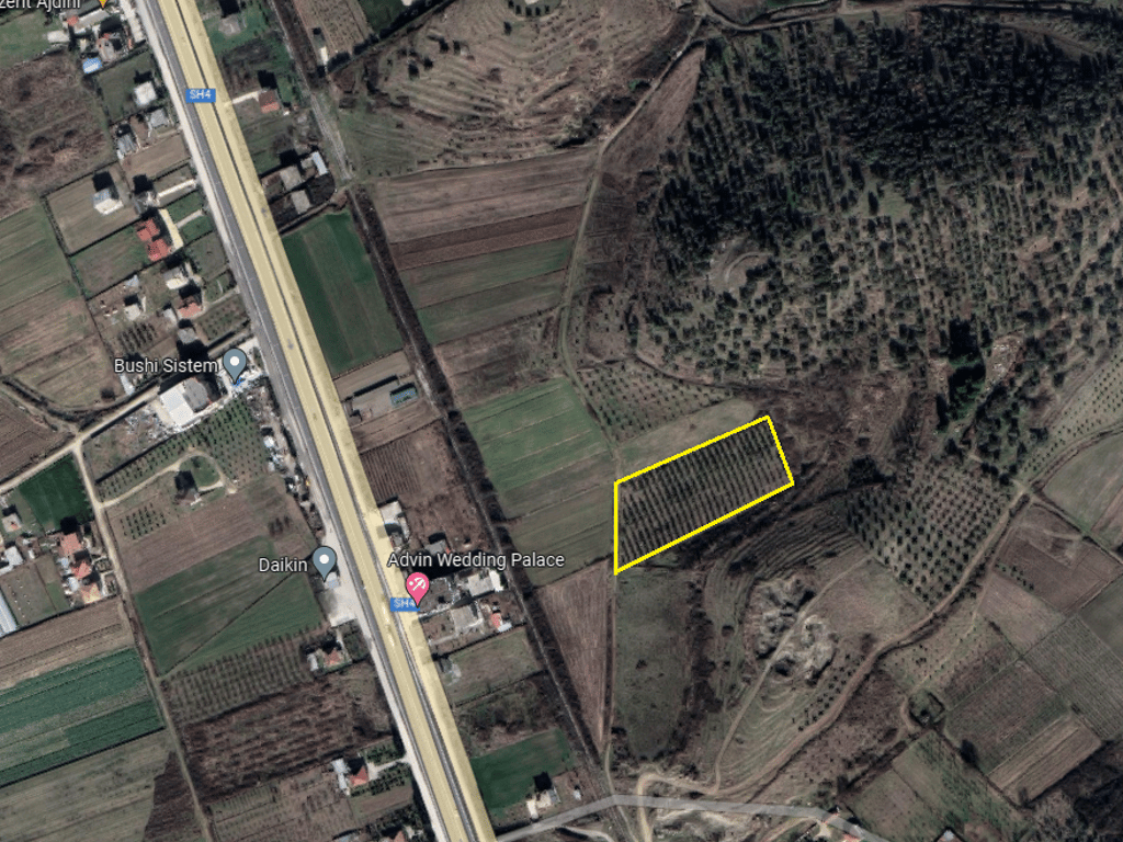 📌Shitet toke me 300 rrenje ullinj vetem 9.5 €/m²,Kryeluzaj(afer Goses se vogel),Kavaje