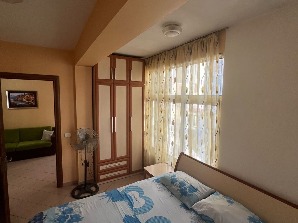 Apartament Me Qera 1+1 Tek Mine Peza (ID B2101082) Tirane