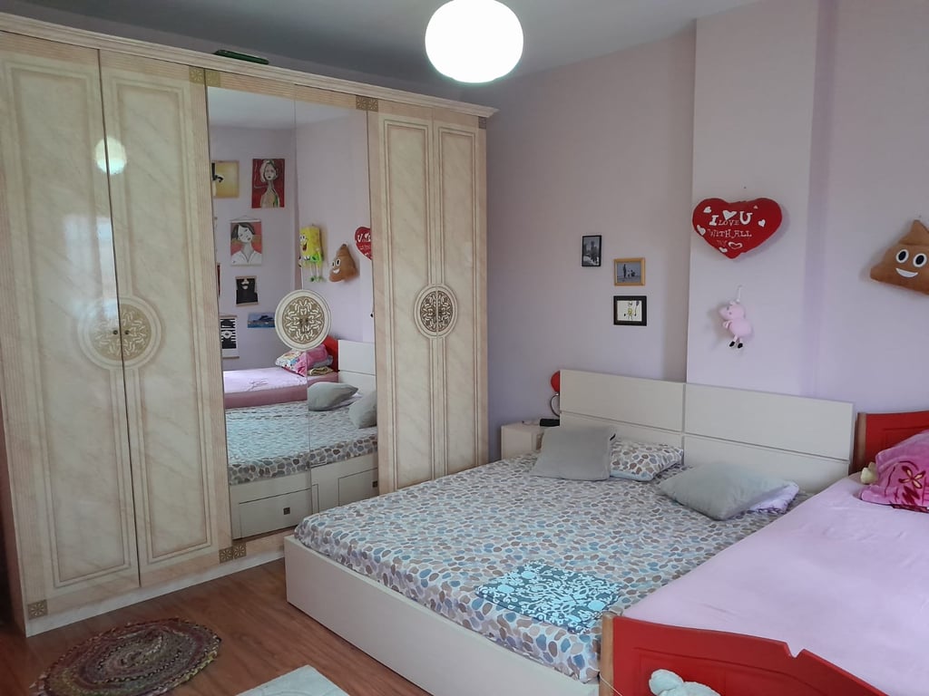 Apartament Me Qera 2+1 tek Komuna e Parisit (ID B2201284) Tirane.