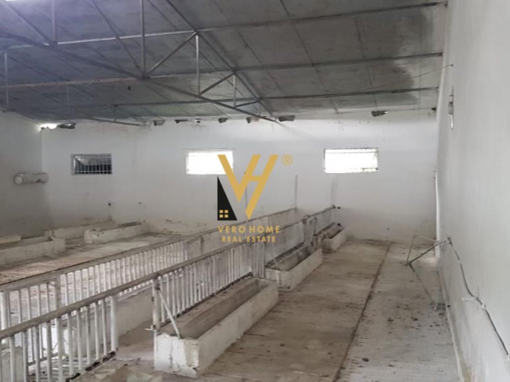 2,000 M2 SPACE FOR RENT IN BALDUSHK 1,600 EURO