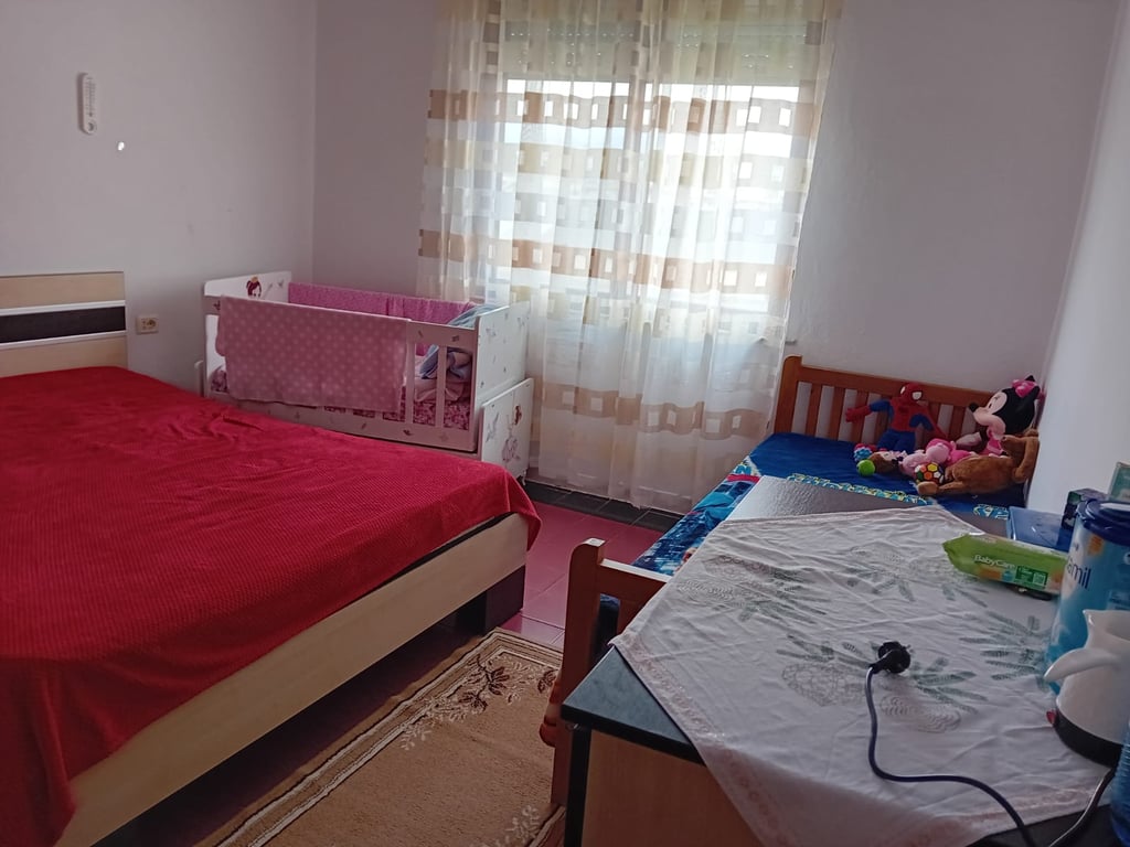 Apartment 1+1 for rent, Ali Dem near the Kushtrimi i Lirise School, 350 euros.