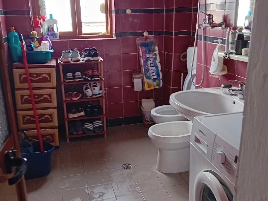 Apartment 1+1 for rent, Ali Dem near the Kushtrimi i Lirise School, 350 euros.