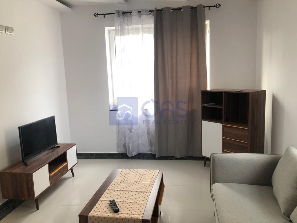 Apartment 1+1 for rent in Brryl.