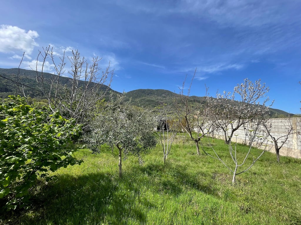 Vende in vendita a Bërzhitë vicino al "PalmaNova" Resort.